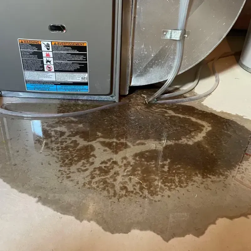 Appliance Leak Cleanup in Chappell, NE